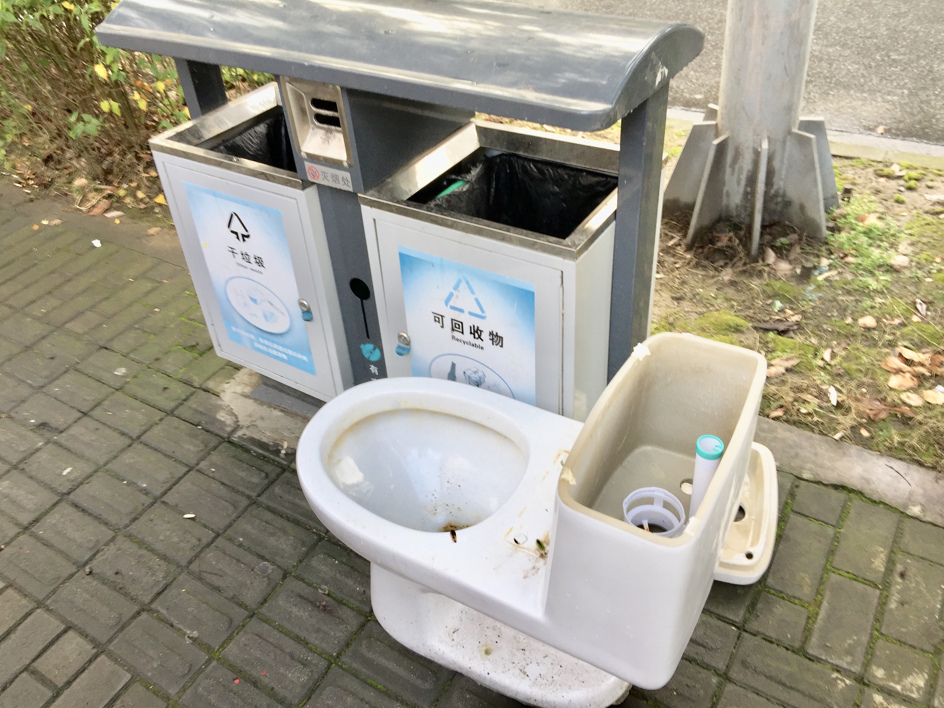 公共のゴミ捨て場にトイレ本体が捨ててある