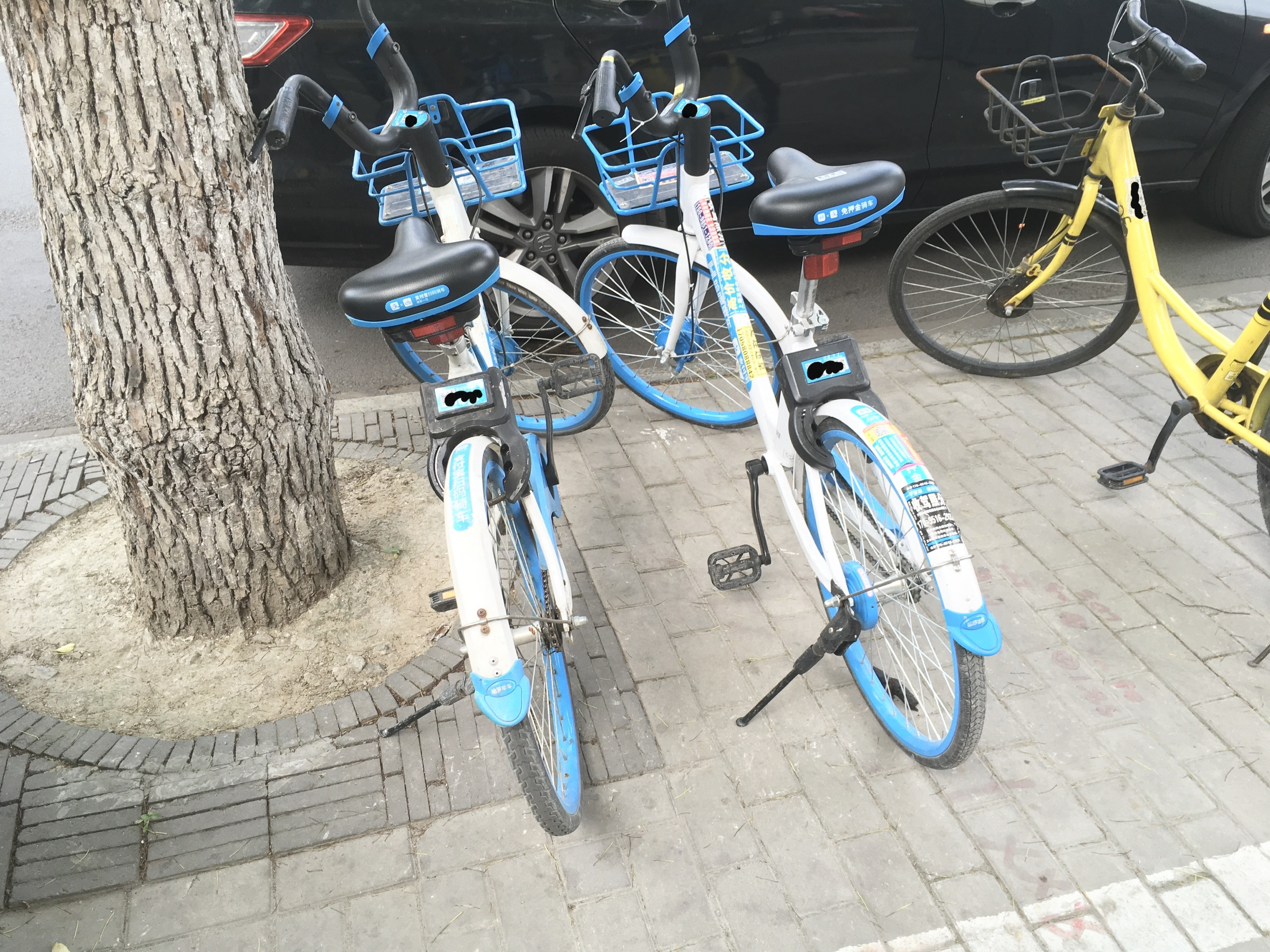 Hello bike, new sharing bike service