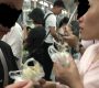 【上海】地下鉄内で肉まんバクバク！