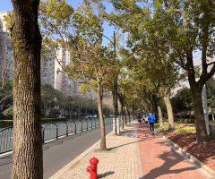 【2022年3月上海】浦東にあるおすすめランニングスポット「世紀公園」