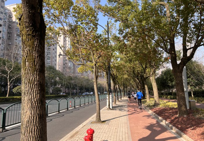 【2022年3月上海】浦東にあるおすすめランニングスポット「世紀公園」